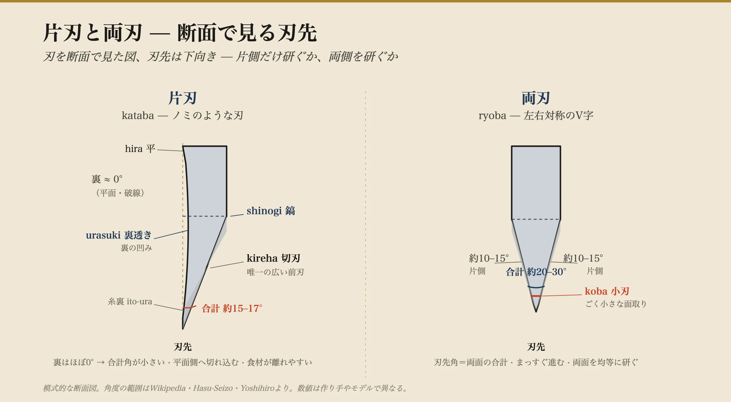 二つの和包丁の刃の断面比較。左は片刃(かたば):切刃と呼ばれる一つの幅広い平らなベベルが鎬の稜線から刃まで約15〜17度で走り、裏はフラットで裏透きと呼ばれる浅くすくった凹みを持つ。裏がほぼ0度なので合計の含み角は小さい。右は両刃(りょうば):対称なVを片側約10〜15度で研ぎ、20〜30度の含み角にし、刃先そのものに小刃と呼ばれる小さな二次的マイクロベベルを持つ。