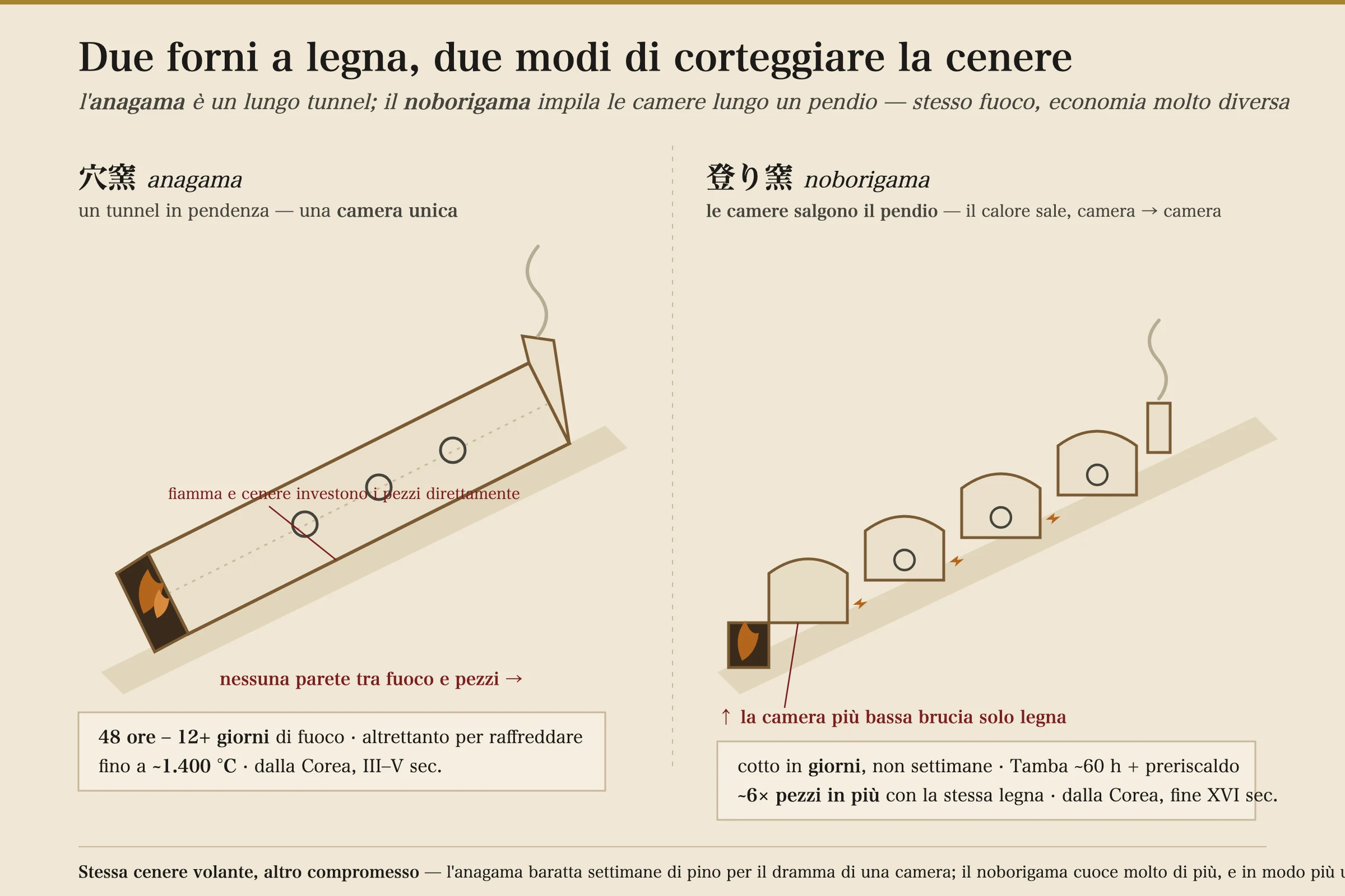 Una sezione trasversale affiancata dei due forni giapponesi a legna. A sinistra, l'anagama: un lungo tunnel in pendenza scavato in una collina, con la camera di combustione all'estremità bassa, le ceramiche disposte direttamente sul percorso della fiamma senza parete tra fuoco e oggetto, e un camino in alto — etichettato camera singola, da 48 ore a oltre 12 giorni di cottura, fino a circa 1.400°C. A destra, il noborigama: una scalinata di quattro camere collegate che salgono il pendio, il calore che risale da una camera alla successiva, la camera più bassa che brucia solo combustibile, aperture laterali di alimentazione per ciascuna — etichettato multi-camera, cotto in giorni, e circa sei volte più pezzi di un anagama a parità di legna.