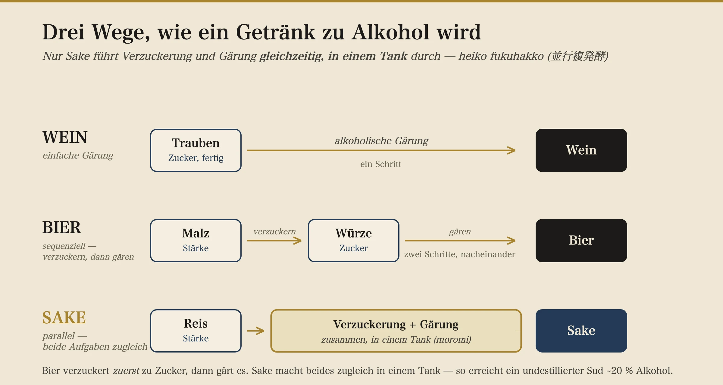 Ein Diagramm, das drei Gärungsarten vergleicht: Wein vergärt Traubenzucker in einem Schritt; Bier verzuckert Malz zu süßer Würze und vergärt sie dann in zwei aufeinanderfolgenden Schritten; Sake führt Verzuckerung und Gärung gemeinsam in einem einzigen Tank namens Moromi aus.