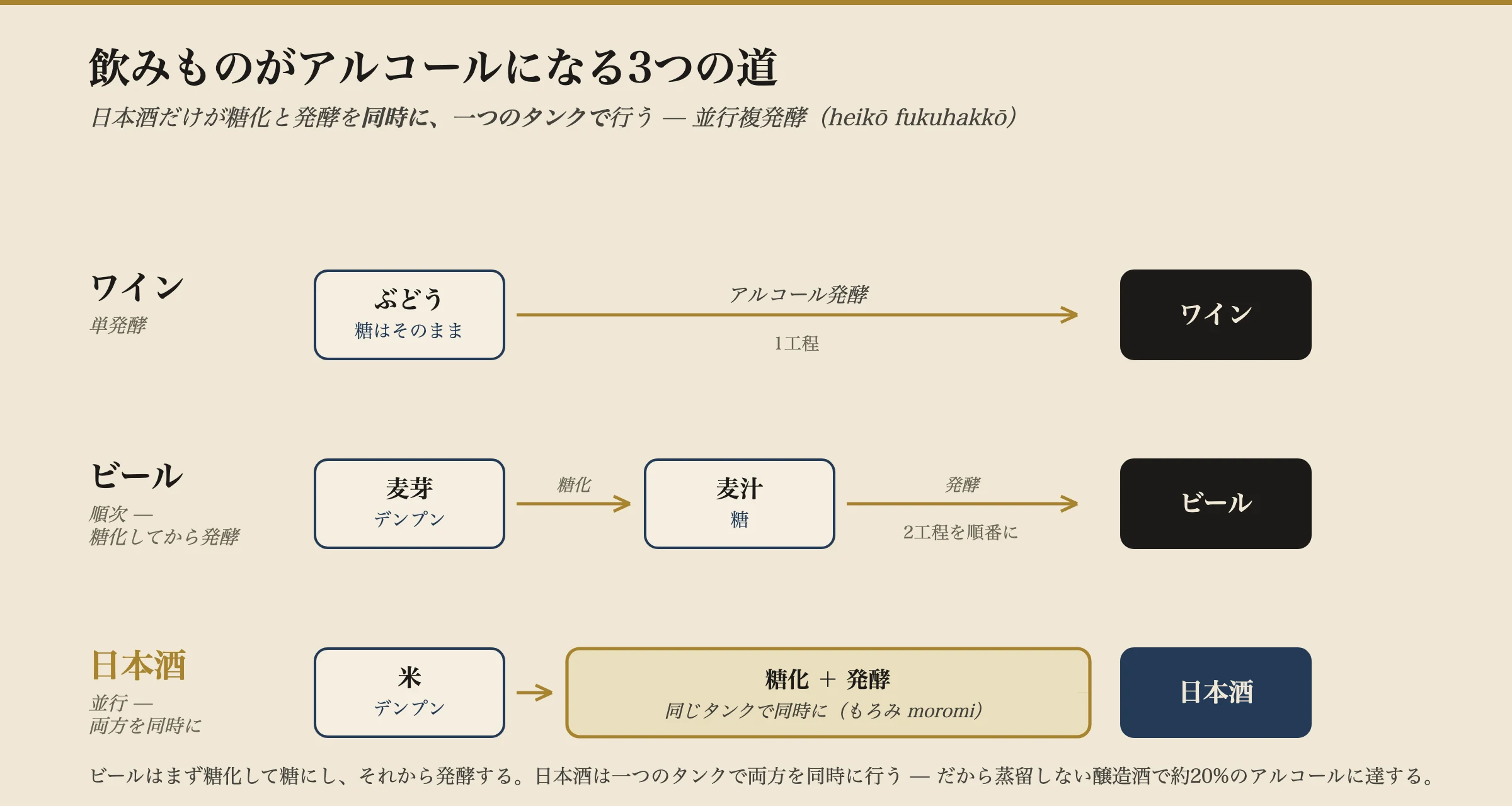 三つの発酵タイプを比較する図。ワインはぶどうの糖を一段階で発酵させる。ビールは麦芽を糖化して甘い麦汁にし、それから発酵させる二つの連続した段階を踏む。日本酒は糖化と発酵を、醪(もろみ)と呼ばれる一つのタンクの中で同時に行う。