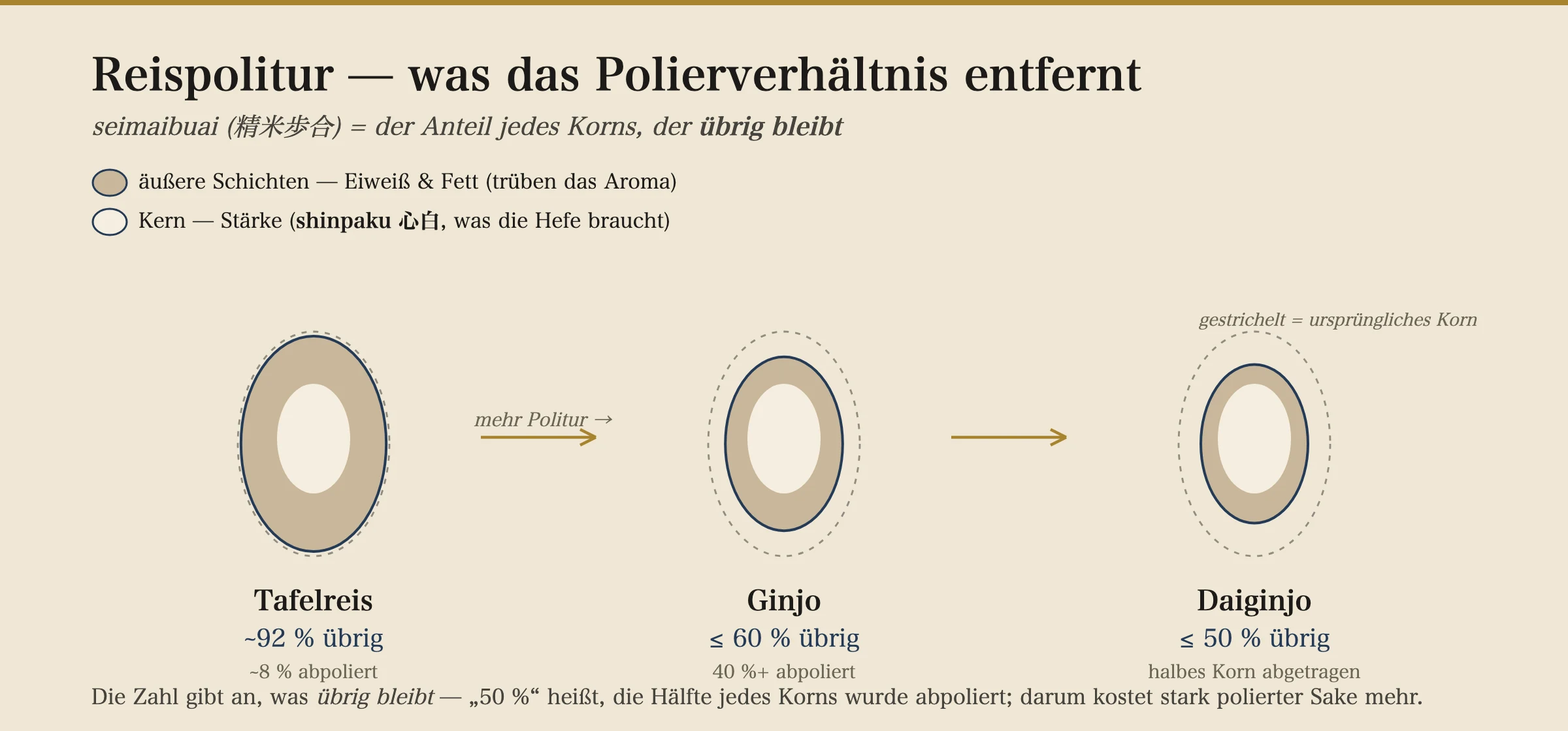 Reiskorn-Querschnitte, die zeigen, wie das Schleifen die äußeren Protein- und Fettschichten entfernt und den stärkehaltigen Shinpaku-Kern zurücklässt: Speisereis behält etwa 92 % jedes Korns, Ginjo 60 % oder weniger, Daiginjo 50 % oder weniger.