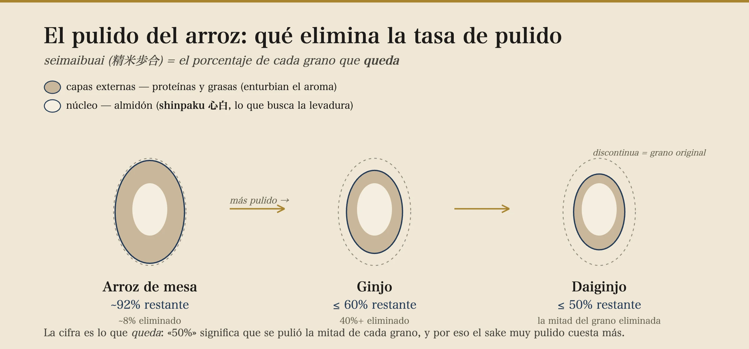 Secciones transversales de granos de arroz que muestran cómo el pulido elimina las capas exteriores de proteína y grasa para dejar el núcleo de almidón shinpaku: el arroz de mesa conserva alrededor del 92% de cada grano, el ginjo el 60% o menos, el daiginjo el 50% o menos.