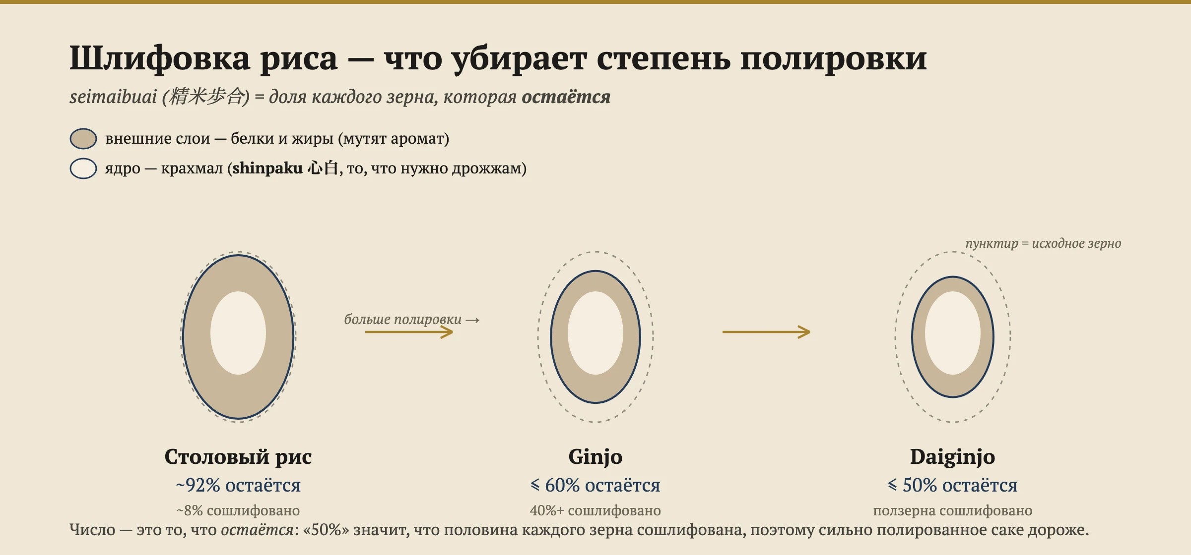 Поперечные сечения зерна риса, показывающие, как обточка удаляет внешние слои белка и жира, оставляя крахмальное ядро синпаку: столовый рис сохраняет около 92% каждого зерна, гиндзё 60% или меньше, дайгиндзё 50% или меньше.