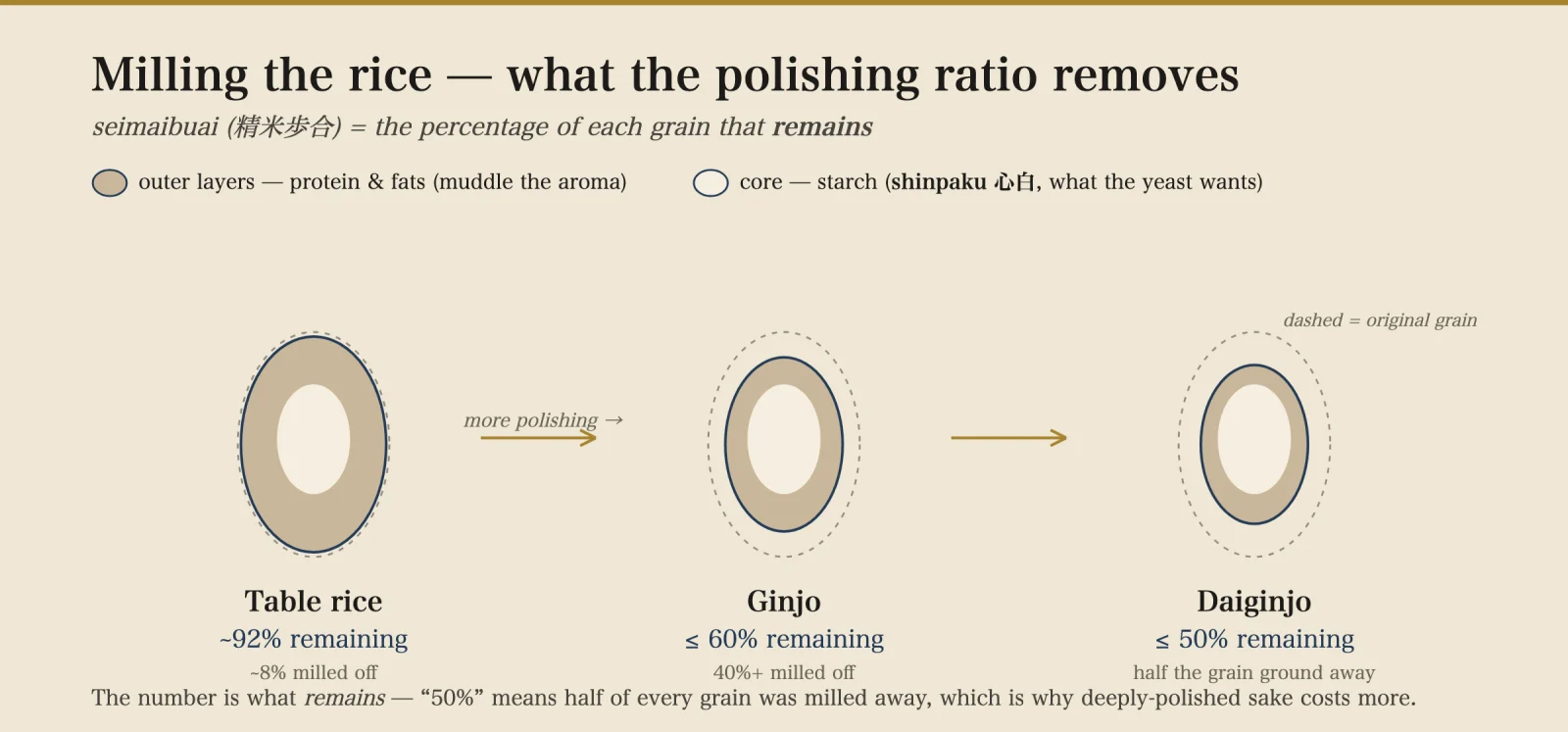 Rice-grain cross-sections showing how milling removes the outer protein and fat layers to leave the starchy shinpaku core: table rice keeps about 92% of each grain, ginjo 60% or less, daiginjo 50% or less.